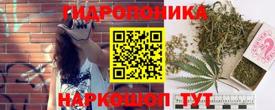 mix Заводоуковск
