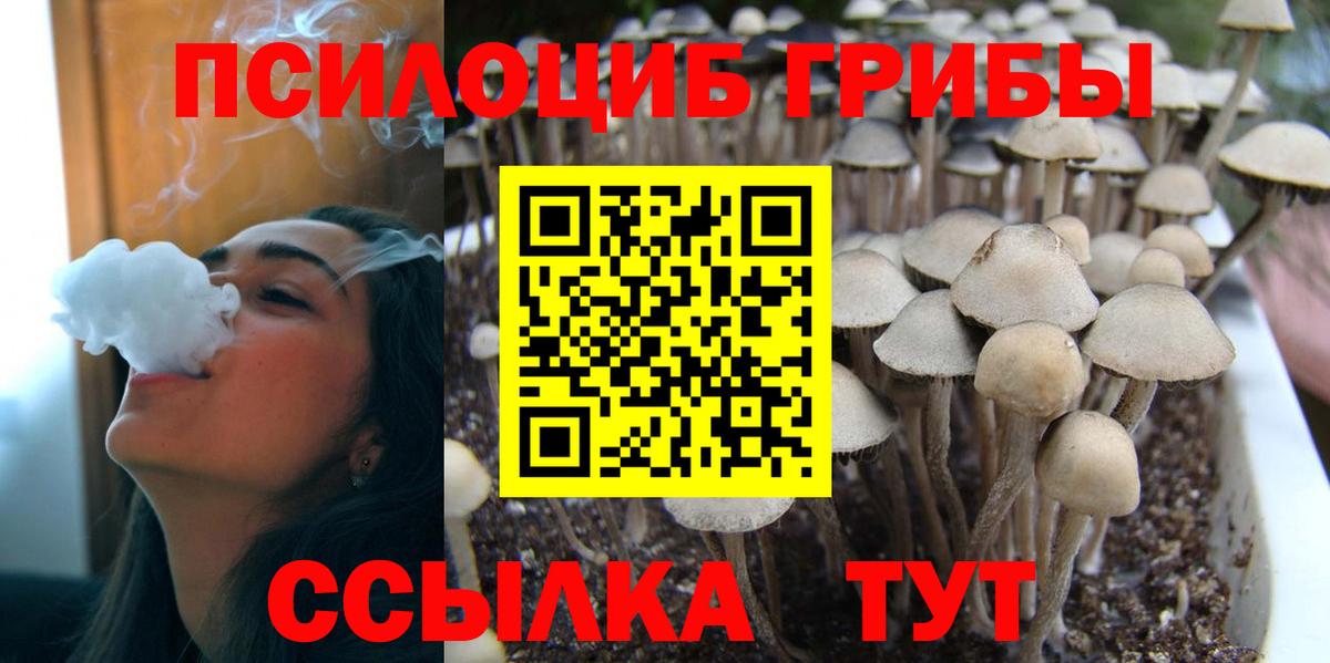 купить наркоту  Вход с VPN  Ликино-Дулёво  Псилоцибиновые грибы GOLDEN TEACHER 